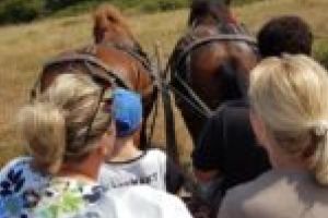 De la 50 de turişti, la 3.000 în fiecare an! Străinii, îndrăgostiţi de comuna Margina din judeţul Timiş