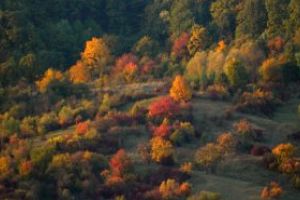 Cum va fi sambata vremea in Maramures