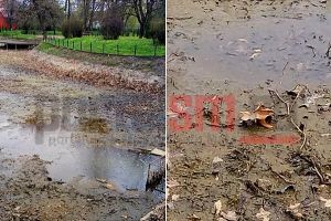 FOTO/VIDEO. Drum de calvar într-un cartier din Satu Mare. Oamenii umblă cu cizme de cauciuc