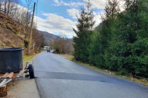 În Munţii Apuseni, nu mai guiţă niciun porc, de frică sau de moarte…