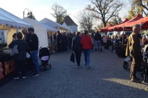 Revoltător: Reclamă falsă la Festivalul Mediteranian! Sesizăm Protecţia Consumatorului Târgu Mureş!