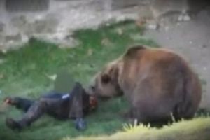 VIDEO: Ciobanul ucis de urs, lăsat fără un braţ!