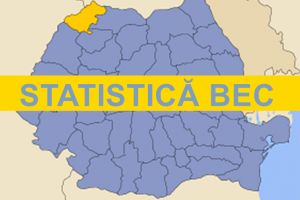 Judeţul Satu Mare, ultimul loc pe ţară la prezenţa la vot