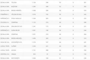 Suspiciuni de frauda electorala in Prahova. Politia, in alerta!