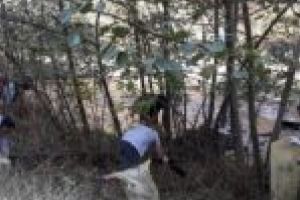 Voluntari cu suflet mare! Țara Făgetului a scăpat de câteva tone de gunoi