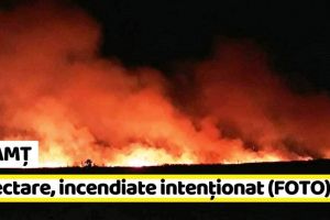 NEAMȚ: 3 hectare, incendiate intenţionat (FOTO)
