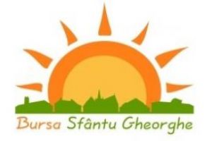 Înscrieri pentru Bursele Sfântu Gheorghe