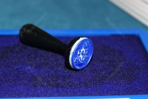 Alegeri prezidenţiale: Iohannis – 36,66%, Viorica Dăncilă – 23,79%, Barna – 13,99%