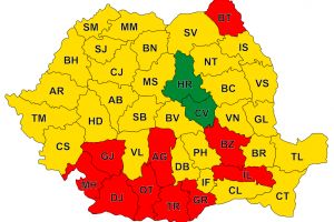 Botoşaniul, singurul judeţ din Moldova în care PSD a câştigat alegerile