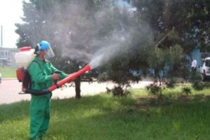 De azi, noi stropiri la Piteşti