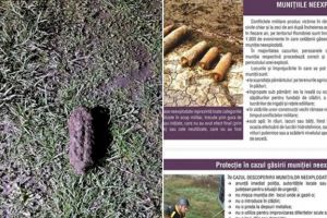 Grenadă din Primul Război Mondial într-o curte din municipiul Gheorgheni