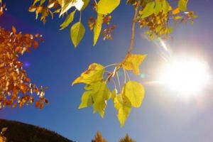 Val de căldură la mijlocul lunii noiembrie. La ce temperaturi ne putem aştepta