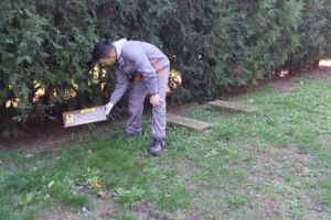 Actiunile de deratizare, continua in Constanta (galerie foto)