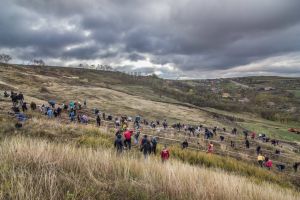 Asociaţia Tăşuleasa Social continuă să planteze puieţi la Sânmihaiu de Câmpie