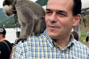 S-au vazut cu voturile in caruta, acum anunta jihadul! Peste 400.000 de bugetari, CONCEDIATI de Iohannis si 