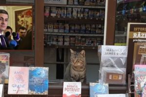 Pisica lui Dan Barna, angajată la o tonetă din Piteşti