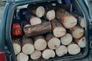 Zeci de HOȚI prinşi în pădurile din Argeş