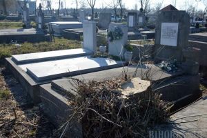 Arborii periculoşi din Cimitirul Rulikowski vor fi toaletaţi. Cererile pot fi depuse la sediul ADP Oradea