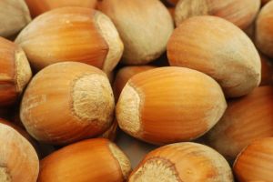 Alunele de padure, o gustare sanatoasa