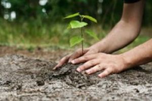 Înscrieri în programul „Poarta de soare”