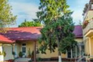 Fief PSD, dar Viorica Dăncilă a luat sub procentul de voturi pe judeţ!