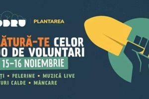 Organizatorii CODRU 2019 invită timişorenii la „Sesiune de plantare”