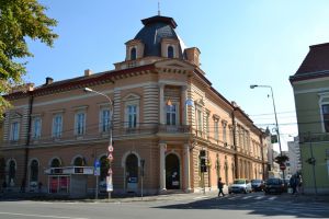 ANUNȚ. Trei clădiri rămase. Unde s-ar putea muta Biblioteca Judeţeană Satu Mare
