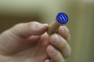 Rezultate oficiale alegeri prezidenţiale pe localităţi, în Timiş. Klaus Iohannis câştigă detaşat turul 1