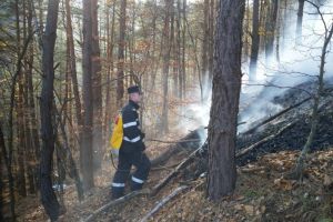 FOTO Pompierii sibieni în alertă – S-a reaprins incendiul de pădure de la Măgura