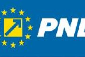 Schimbari in PNL: Florin Roman, lider de partid 