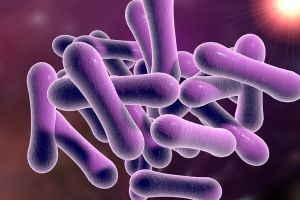 Alertă de DIFTERIE la graniţa cu Ucraina. Măsurile anunţate de Ministerul Sănătăţii şi 10 lucruri importante despre boala contagioasă, care poate fi mortală