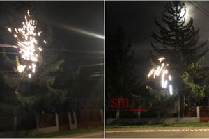 FOTO. Brad cu „artificii” de la firele de electricitate. Echipajul Electrica se lasă aşteptat