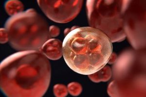 Criză de citostatice la Institutul Regional Oncologic din Iaşi