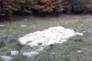Unde au aruncat ciobanii din Sângeorz-Băi lâna în loc să o predea la centre de colectare (VIDEO)