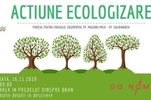 Acţiune de ecologizare în Parcul Naţional Piatra Craiului