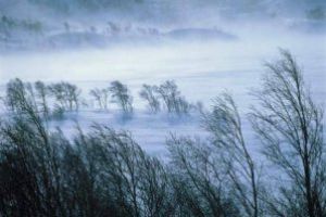 COD GALBEN în Alba: Intensificări ale vântului în zona de munte