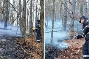 FOTO Mobilizare de forţe în pădurea de la Măgura – Incendiul a fost lichidat