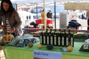 FOTO: Seminţele de dovleac Bodó Farm, nu doar în forma lor clasică