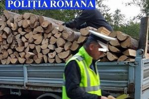 Mureş: Sancţiuni de aproape 70.000 de lei pentru delicte silvice