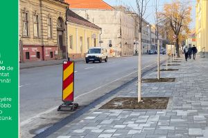 FOTO. Peste 600 de arbori, plantaţi în Satu Mare. Copacii bolnavi, înlocuiţi cu puieţi