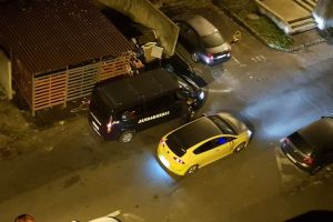 VIDEO Urşii au coborât, din nou, azi-noapte, în Răcădău