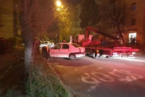 FOTO Pompierii intervin pe strada Oştirii din Sibiu – Un brad stă să cadă din cauza vantului