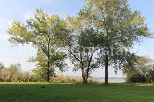 Complex Eden SRL a solicitat acord de mediu pentru ridicarea unui imobil de patru etaje pe bulevardul Mamaia 