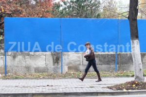 Incepe campania electorala pentru cel de-al doilea tur de scrutin al prezidentialelor