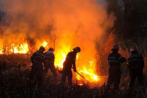 Incendiu puternic in Delta Dunarii. Au fost adusi pompierii din timpul liber. Suprafata mare afectata