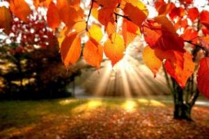 Azi e echinocţiul de toamnă. Când se schimbă ORA