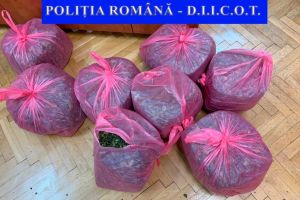 DIICOT: Barbat retinut pentru trafic de droguri de risc si de mare risc. Cum le-a introdus pe teritoriul Romaniei  