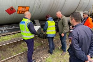Actiuni ale politistilor pentru prevenirea si combaterea furturilor de metale, sub egida RAILPOL (galerie foto) 