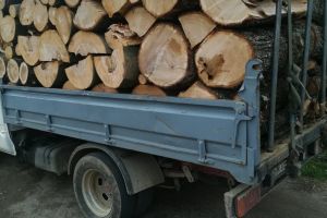 Minor prins la furat de lemne în judeţul Satu Mare. Au intervenit poliţiştii