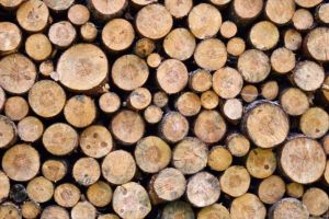 La ce preţ a ajuns metrul cub de lemn în judeţul Harghita?